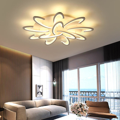 Osobowość twórcza Lampa sufitowa LED Home Hall Jadalnia Lampa do sypialni